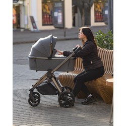 Carrello Omega - Wózek głęboko-spacerowy | zestaw 2w1 | EXCELLENT GREY